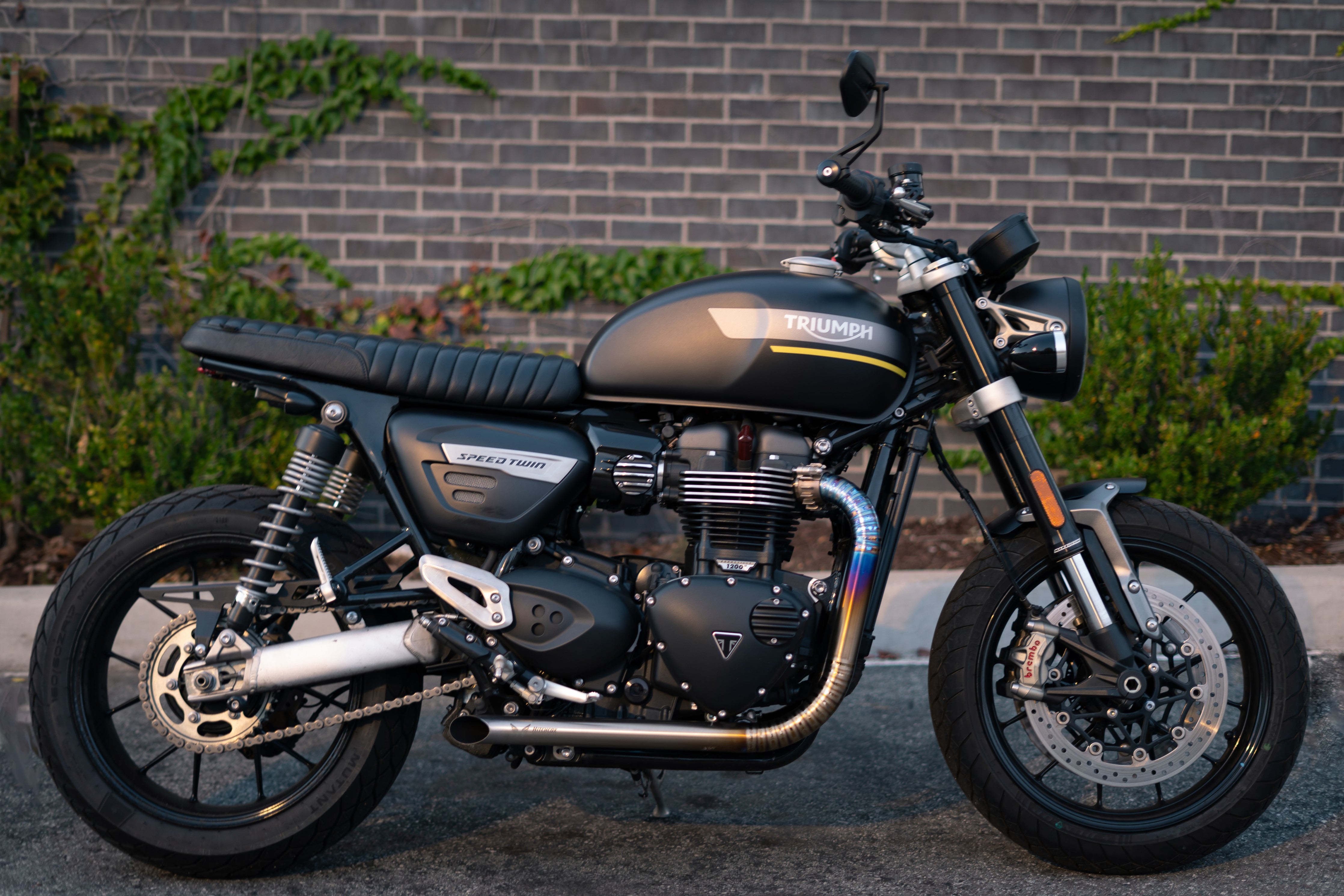 Custom triumph speed deals twin